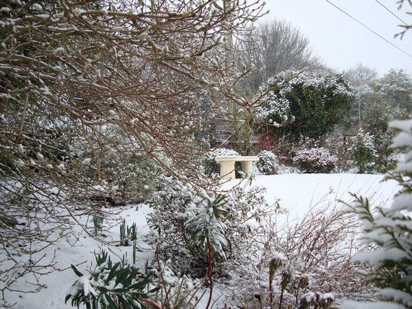 un jardin sous une couche de neige