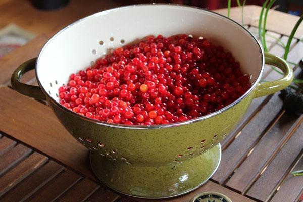 viburnum para mermelada