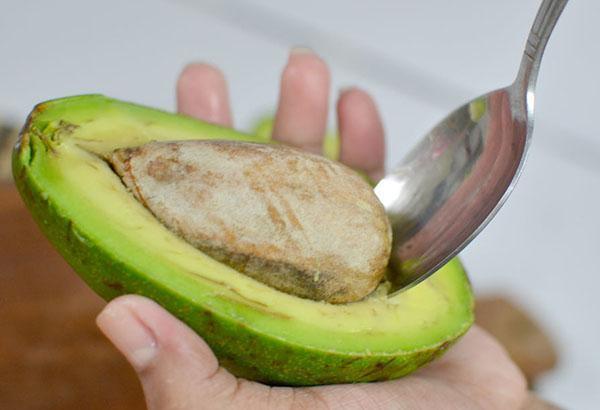 aguacate de hueso