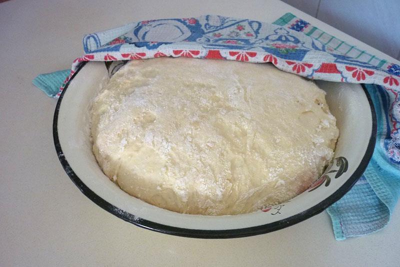 masa de fermentación
