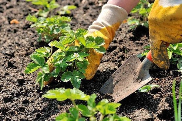 apoyamos la productividad de las camas