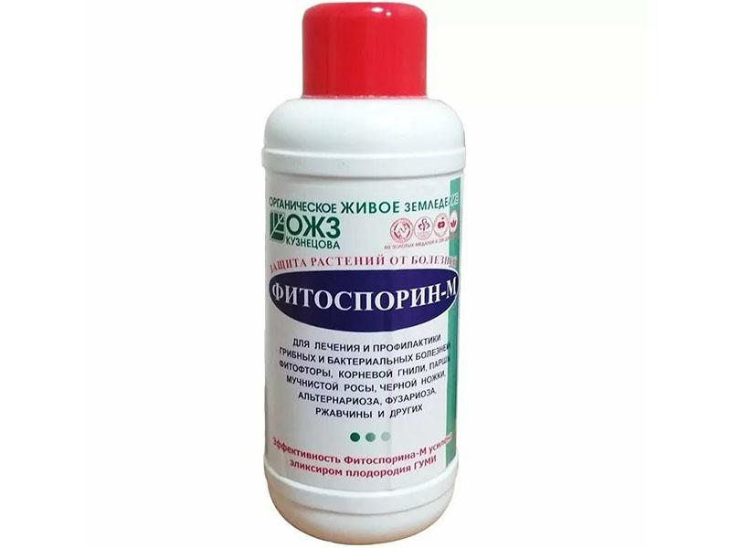 médicament phytosporine