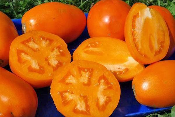 tomates jaunes pour le jus