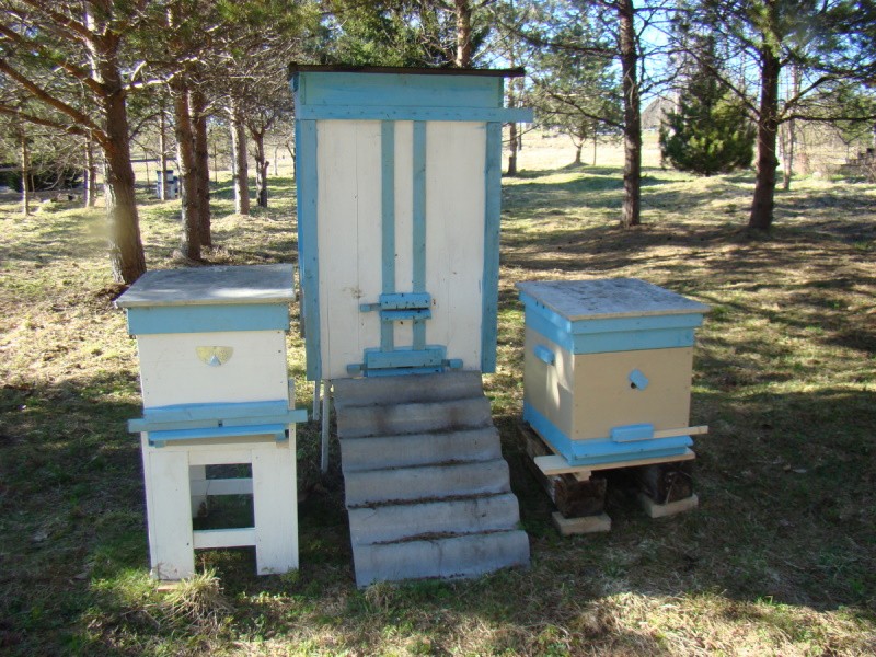 apiculture sans apiculture