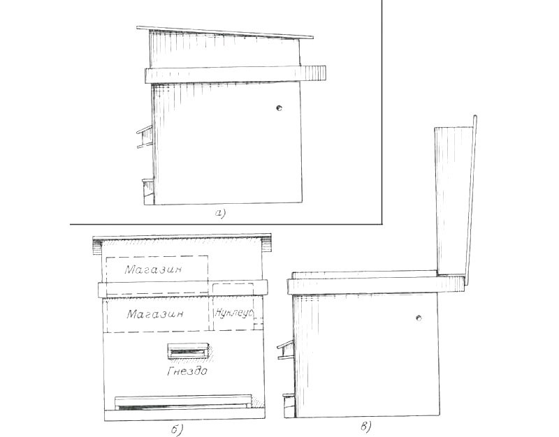 schéma de ruche