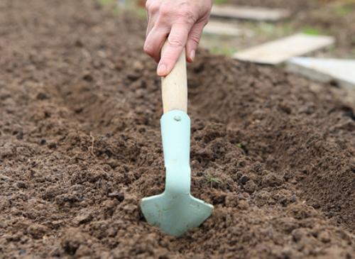 lit de jardin pour radis