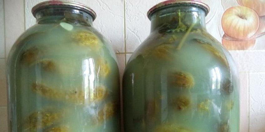 cornichon trouble dans les concombres