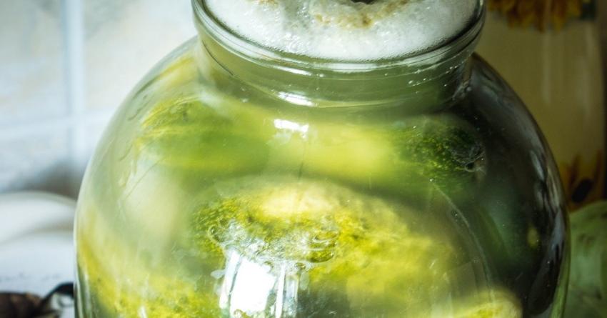 les concombres ont explosé que faire