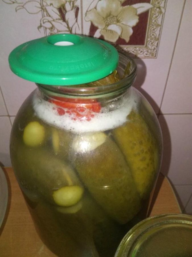pourquoi les pots de concombre explosent