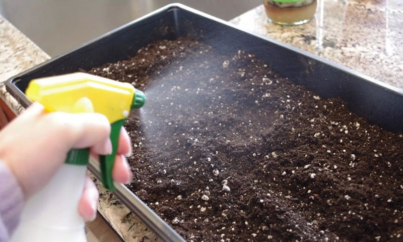 travail du sol avant utilisation
