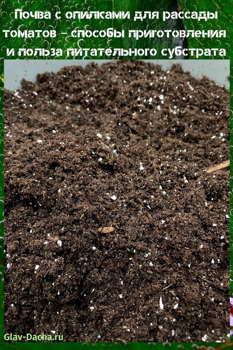 sol avec de la sciure de bois pour les plants de tomates