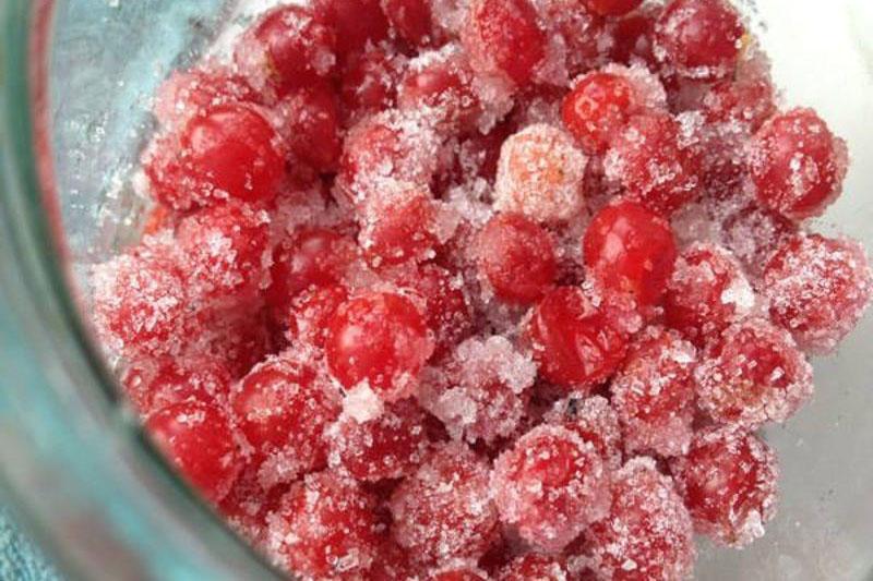 las mejores recetas para cosechar viburnum para el invierno en azúcar