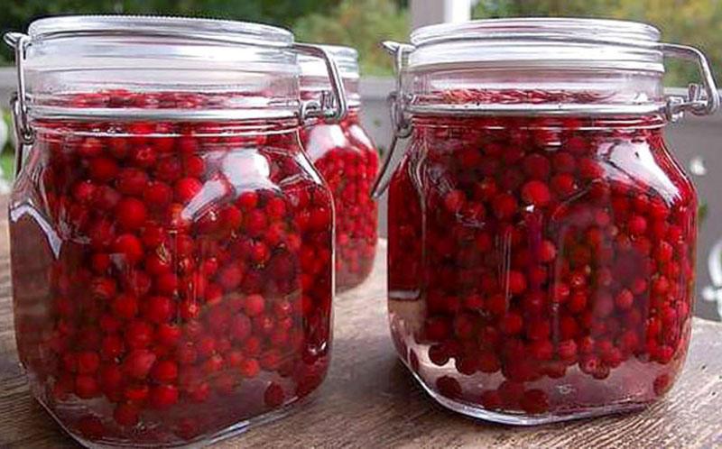 vierta el jarabe de viburnum