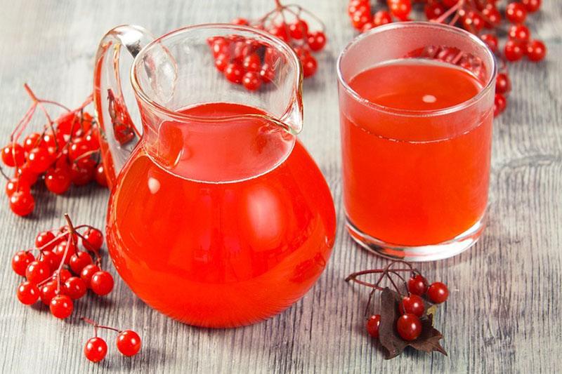 las mejores recetas de viburnum para el invierno en forma de bebida de frutas