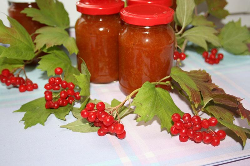 viburnum y mermelada de naranja