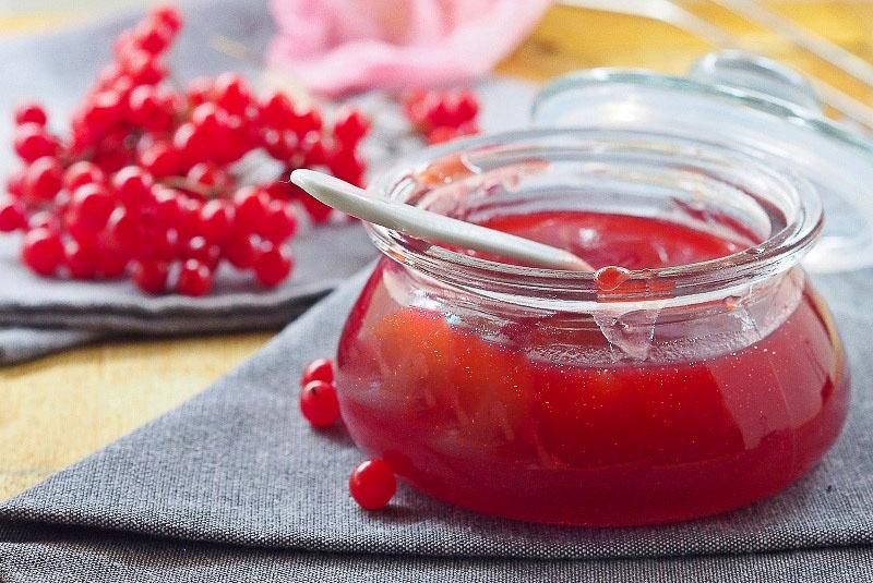 las mejores recetas para cosechar viburnum para la gelatina de invierno