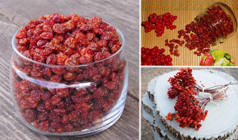 las mejores recetas para cosechar viburnum para el secado de invierno