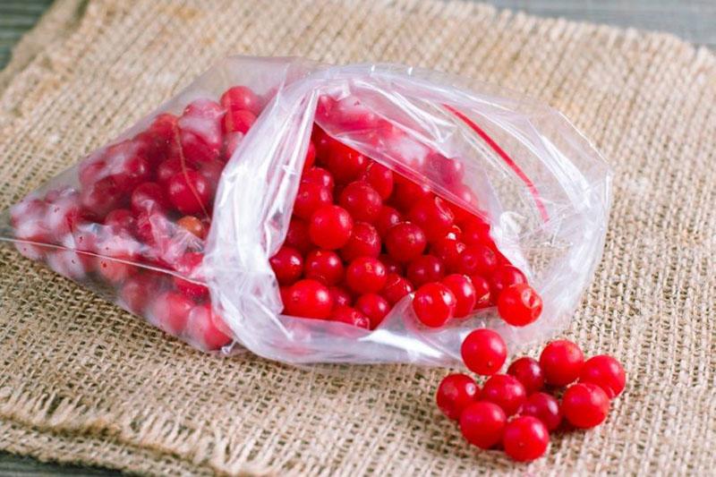 congelar viburnum en bolsas