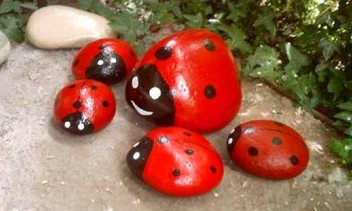 coccinelles