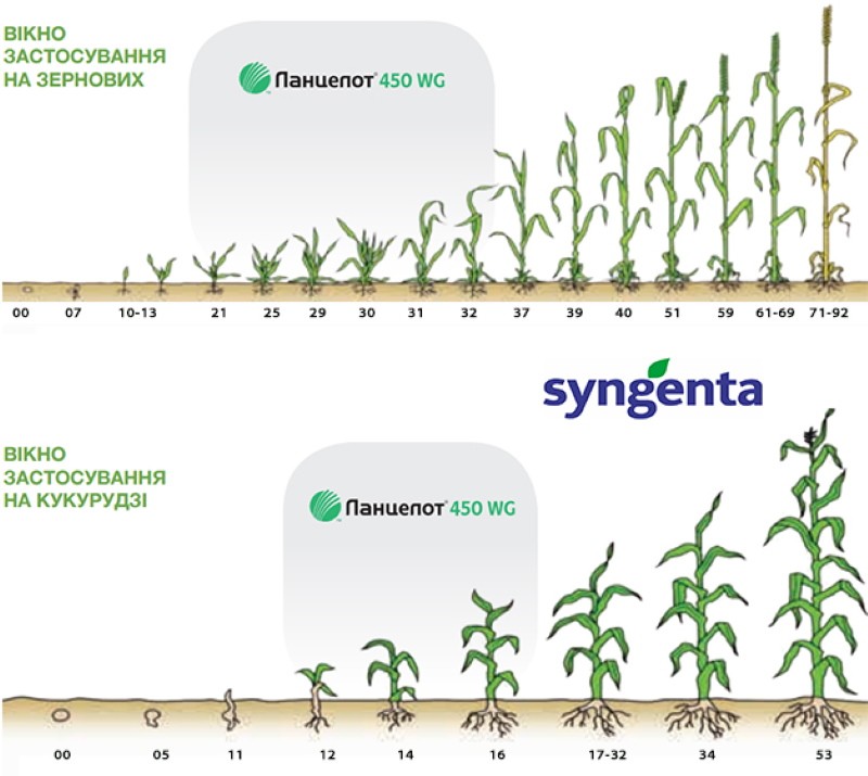 comment utiliser l'herbicide lancelot