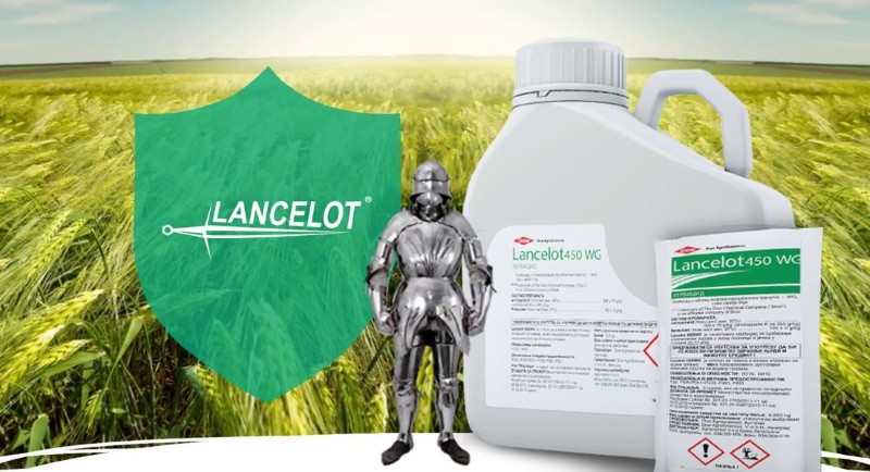 aplicación de herbicidas lancelot