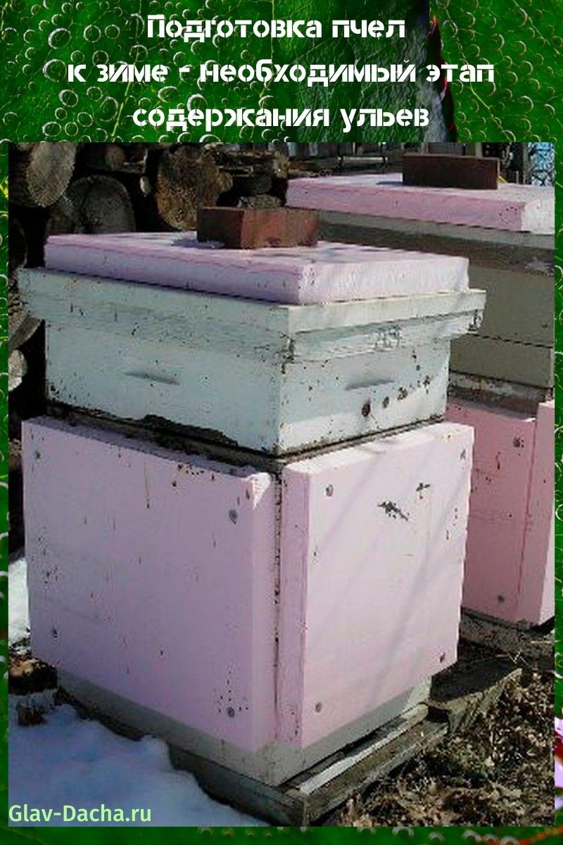 préparer les abeilles pour l'hiver