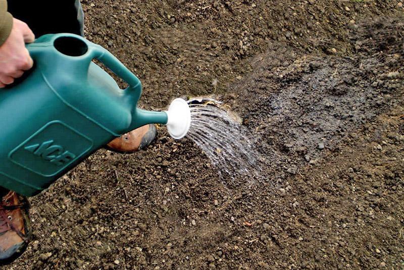 Instrucciones de uso de Farmayod para la desinfección de suelos.