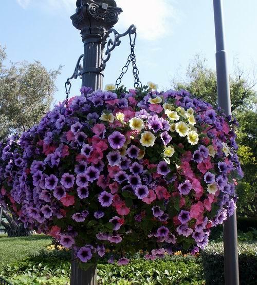 bola de la cama de flores