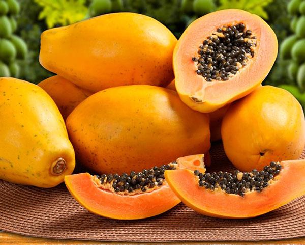 papaya madura