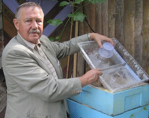 Alimentador de abejas