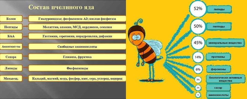 composition de venin d'abeille