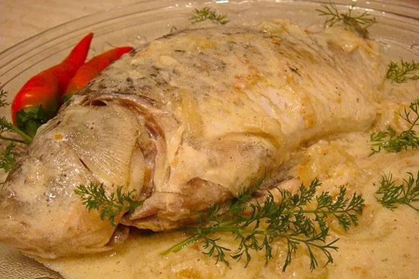 carpa al horno en salsa de crema agria