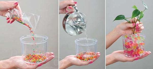 préparation de l'hydrogel pour la plantation