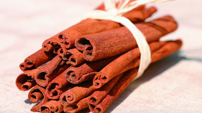 canela falsa - cassia