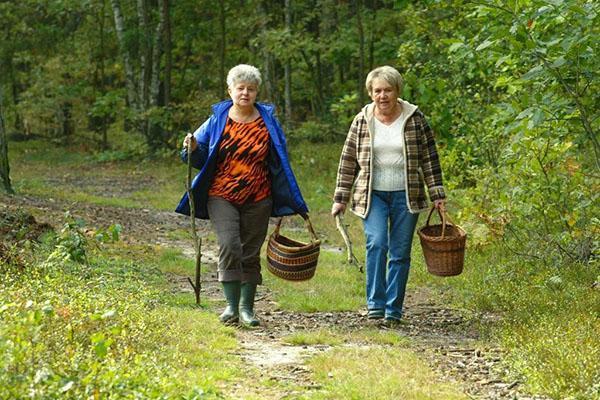 nous allons dans la forêt ensemble