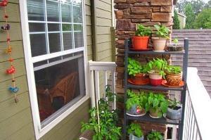 Comment organiser un jardin sur le balcon
