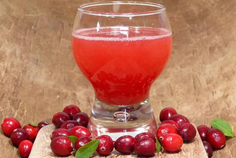 jugo de arándano rojo