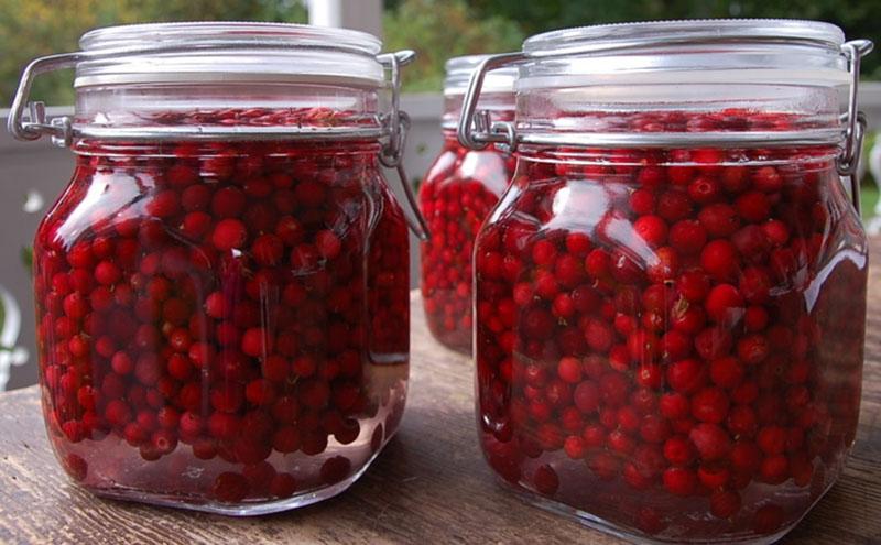 formas de almacenar arándanos rojos