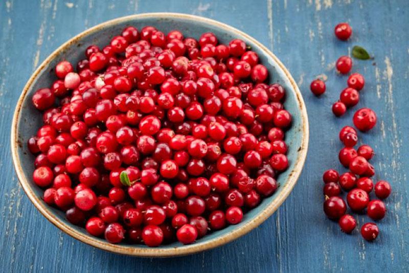 bayas de arándano rojo para la dieta