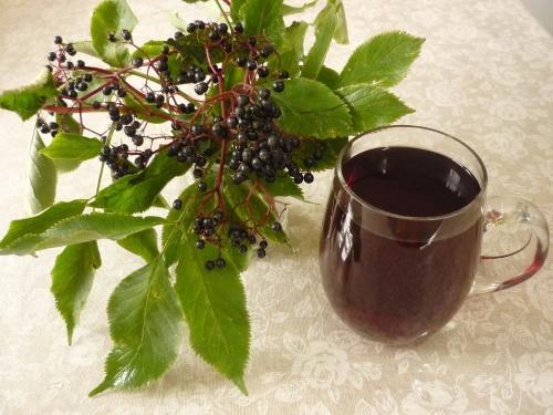 infusión de saúco