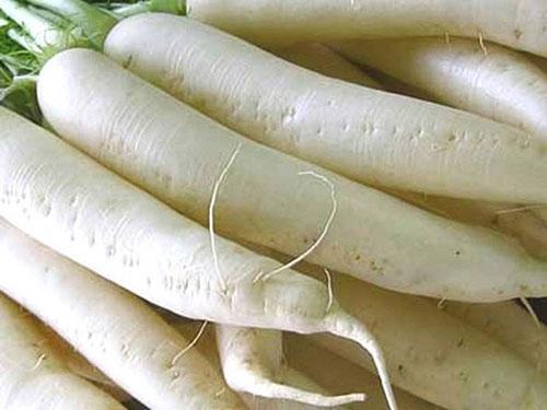 Rábano Daikon