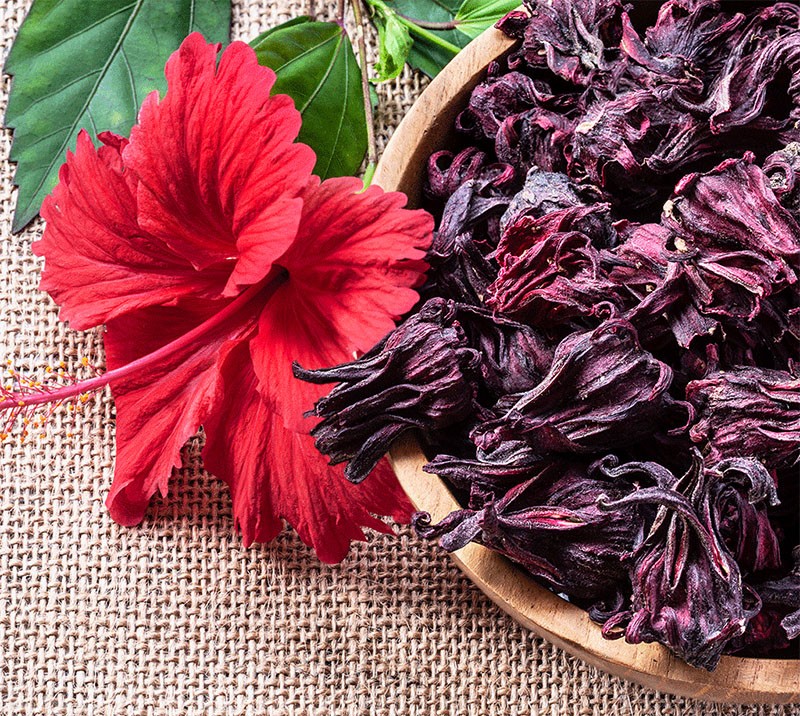 composition de thé d'hibiscus