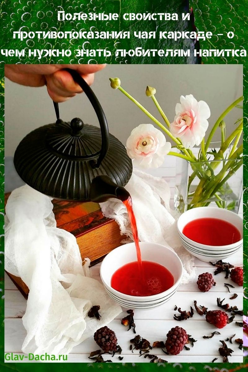 propriétés utiles et contre-indications du thé d'hibiscus