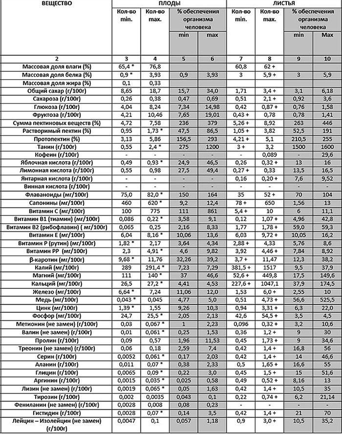 substances utiles dans les fruits et les feuilles de ziziphus