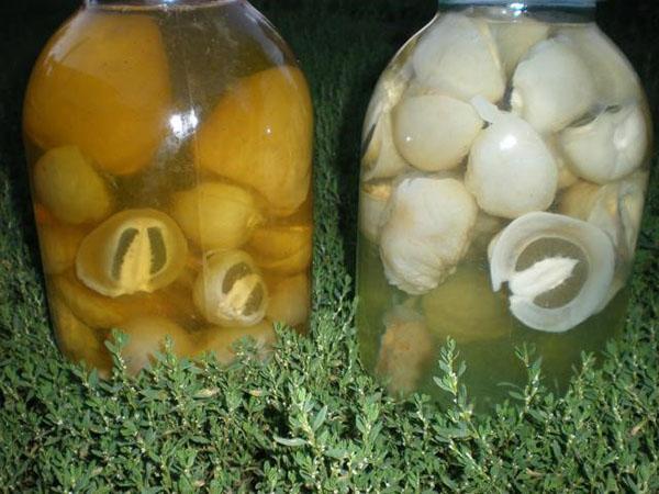 Teinture de champignon veselka dans une bouteille