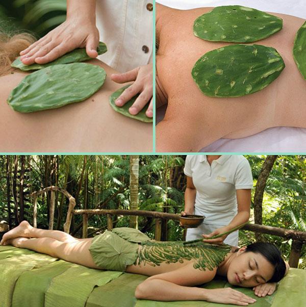 masaje terapéutico con cactus