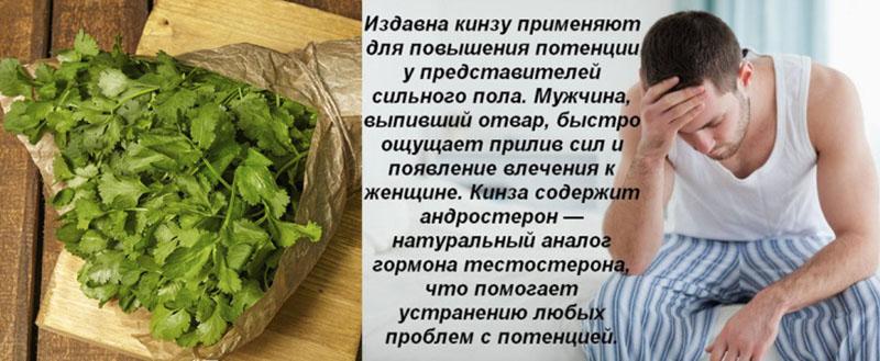 propiedades útiles del cilantro para hombres