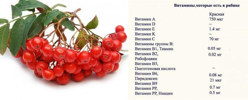 composition de sorbier rouge