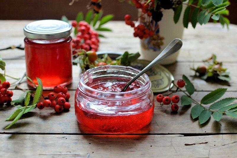 propiedades útiles del serbal rojo para el cuerpo