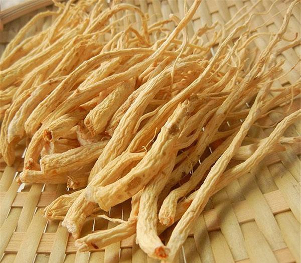 propiedades beneficiosas de la raíz de ginseng